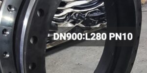 kauçuk kompansatör DN900 L280 PN10